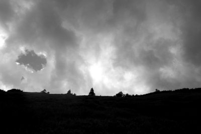 PICT7690-bw1024.jpg