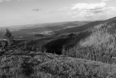 PICT7696-bw1024.jpg
