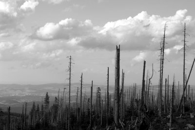 PICT7702-bw1024.jpg
