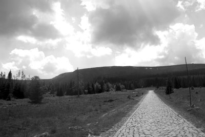 PICT7596-bw.jpg