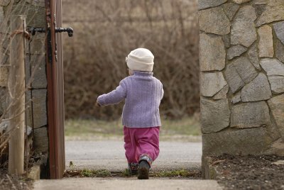 Let's go for a walk
