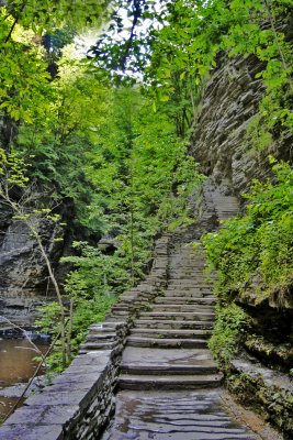 IMG_1774hdr.jpg