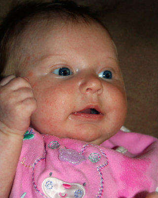 IMG_2426.jpg