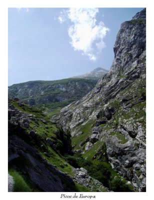 Picos de Europa