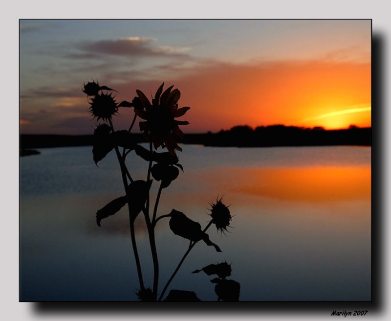 'The sun was down, ...