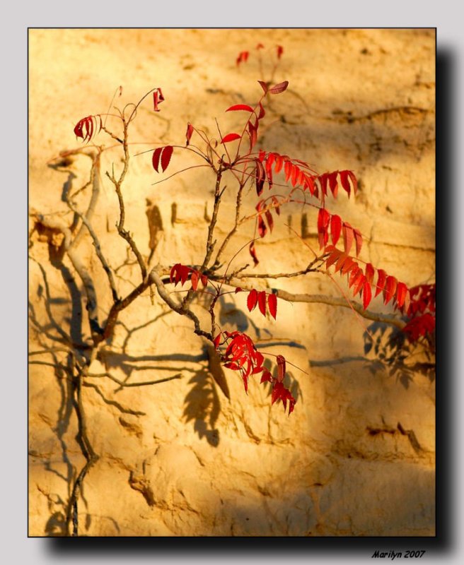 The Painting