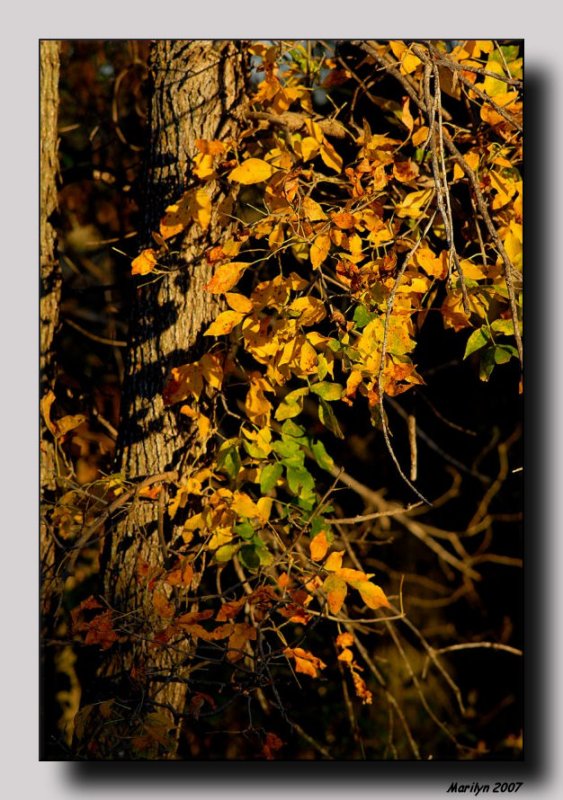 The Painting