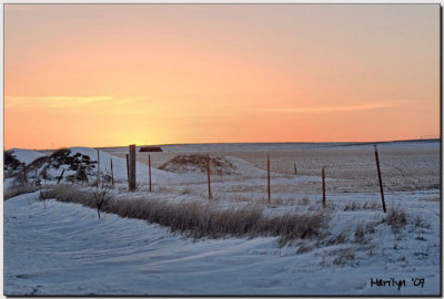 'A March Morning's Yawn'