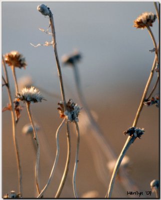 'The sun's glorious greeting'