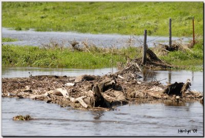 'We're All Downstream'