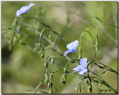 'Wonders of Nature'