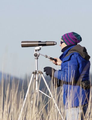 1-30 bird watcher 0470.jpg