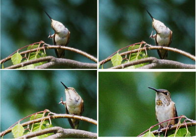 5-15hummer scratch.jpg