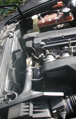 stainless2.jpg