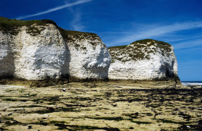 The White Cliffs of Flamborough, From a Beach
