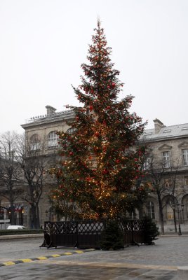 December 2006 - Christmas Tree