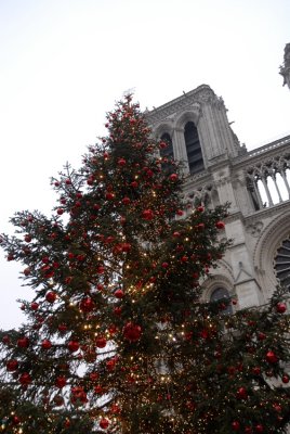 December 2006 - Christmas Tree and Notre dame