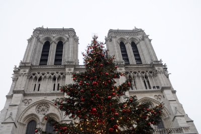 December 2006 - Christmas Tree and Notre dame