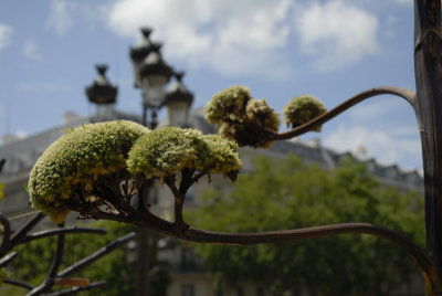 May 2007 -  Exhibition Place de l'Hotel de Ville 75004'