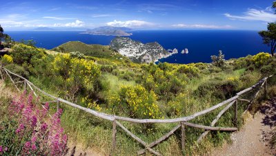 capri_pan2_sm.jpg