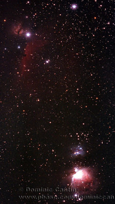 M42 & IC 434