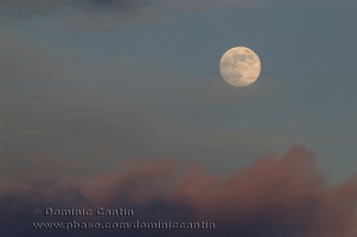 Pleine Lune / Full Moon