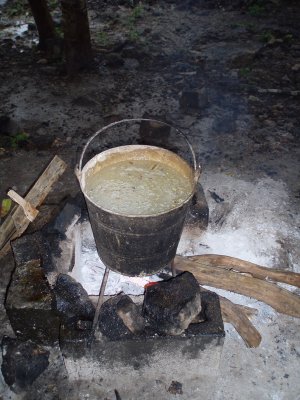 Corn in bucket