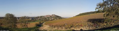 Sancerre - From vineyard