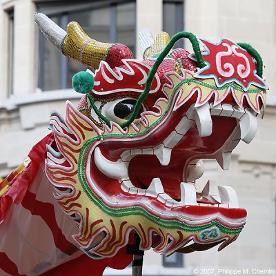 Paris - Chinese New Year 4704 ::Gallery::
