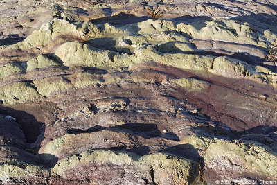 Les monts de l'estran - The ills of the foreshore
