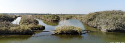 Mattes et cordes - In the marshs