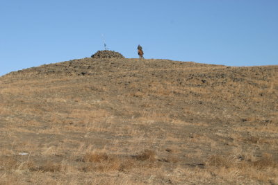 Shepherd circling a shrine