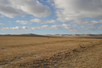 Landscape near Nemer flycamp