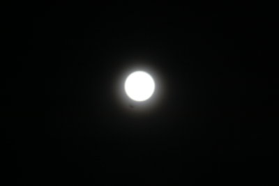 Full moon