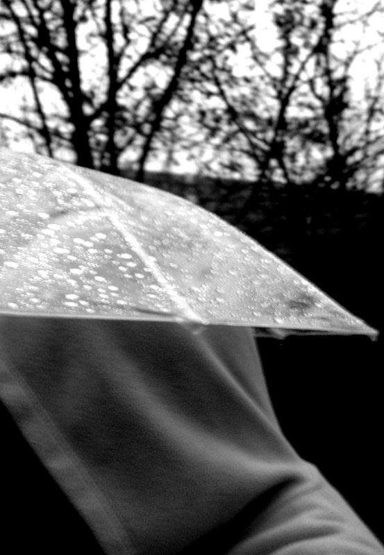 November Rain