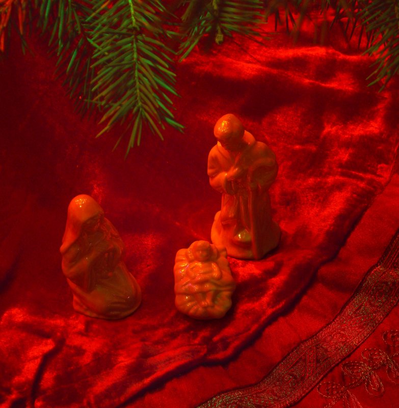 Under the Tree