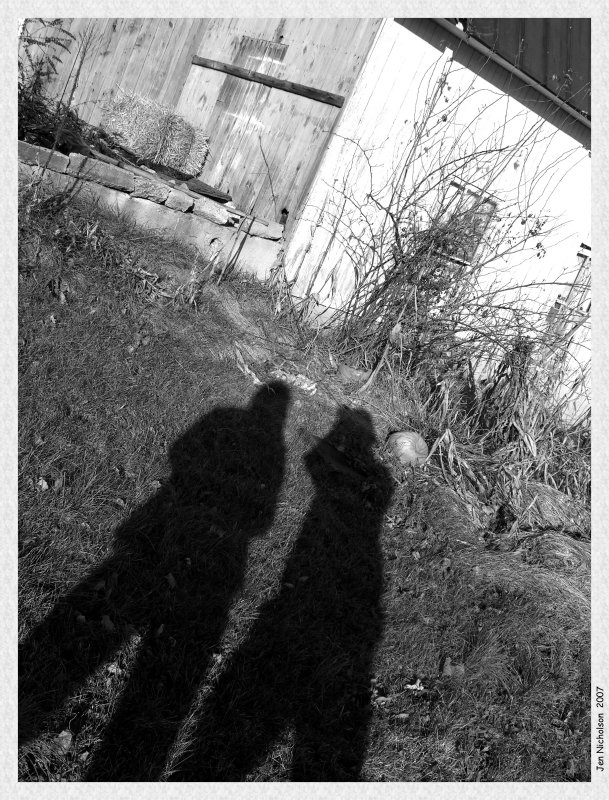Field of Shadows<br>1-4-07