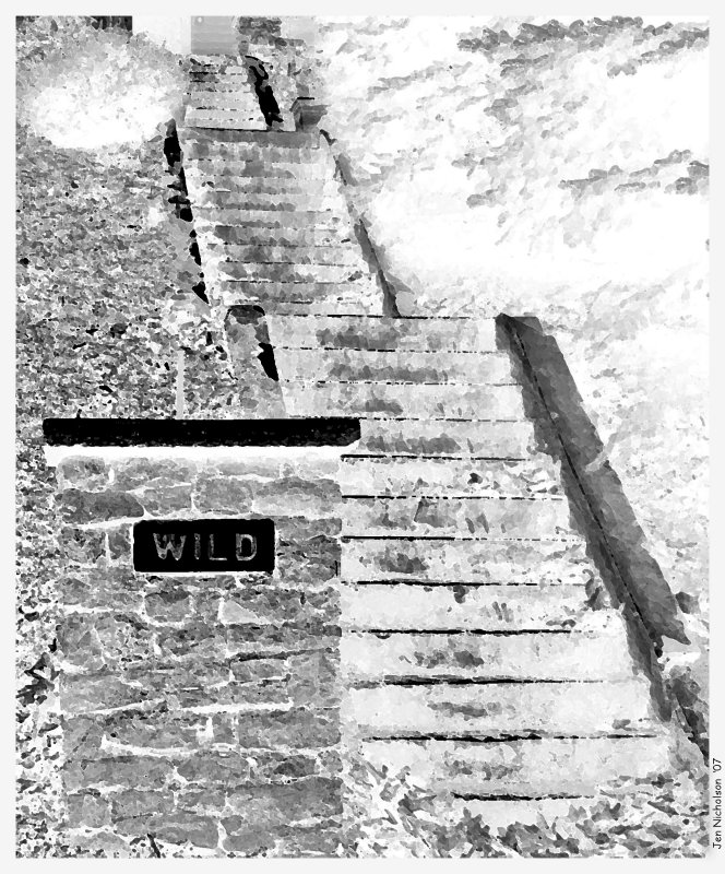 Wild World