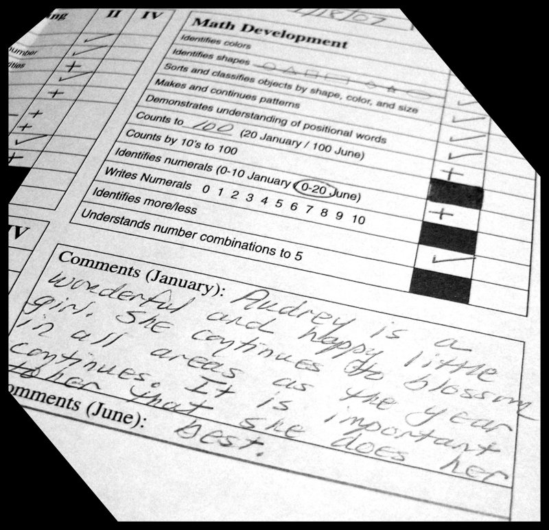1st Progress Report<br>1-25-07