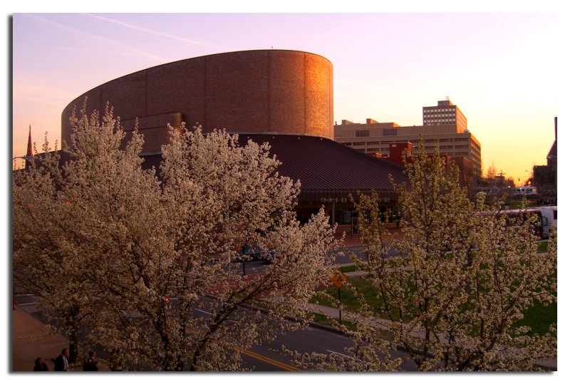 Meyerhoff