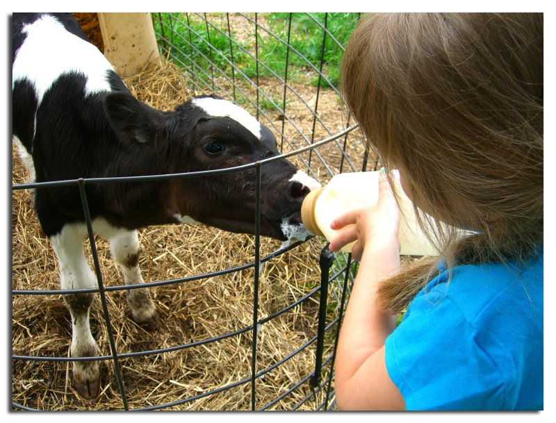Feeding Time