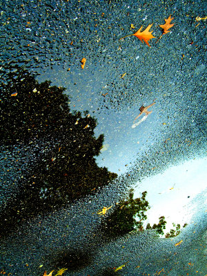 Reflection in Puddles<br>10-18-06