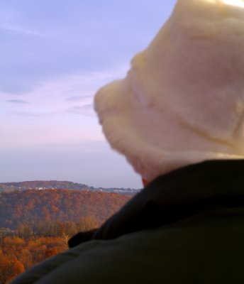 Over Mom's Shoulder