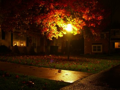 Autumn Night Light