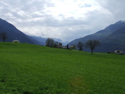 Immagine 003.jpg