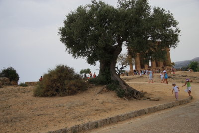 Valle dei Templi