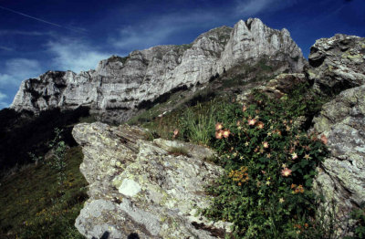 Mount Corchia