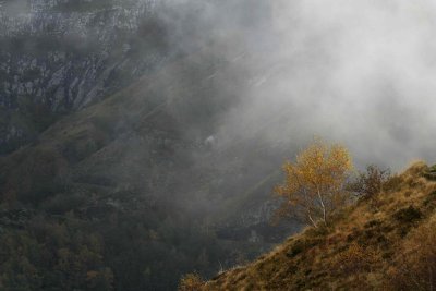 Autumn in Apuan Alps