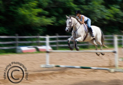 horse jump1.jpg