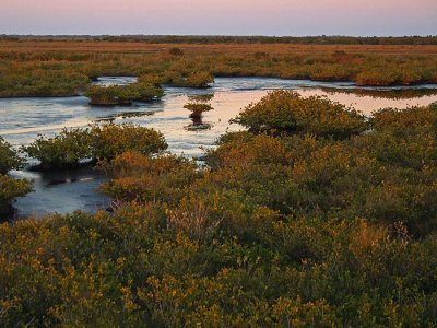 Merritt Island NWR